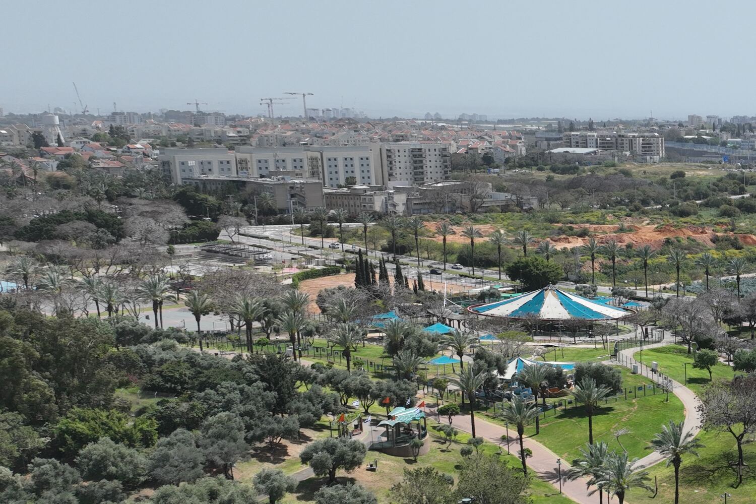 Ra'anana Park on the western edge of the city — olive trees, palms and lawns, with the low-rise town behind.